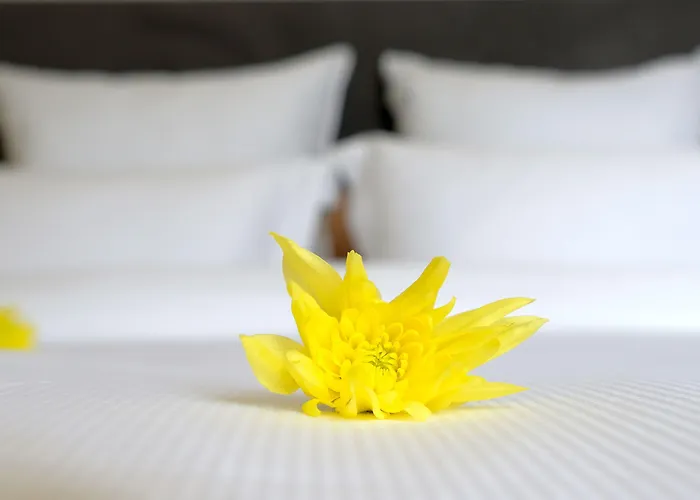 Letheshome 公寓 波尔图