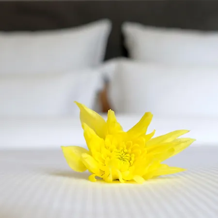 Letheshome Apartament Porto